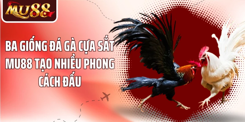 Đá Gà Cựa Sắt MU88 - Khám Phá Nhịp Chiến Đấu Kê Kịch Tính - betzora99