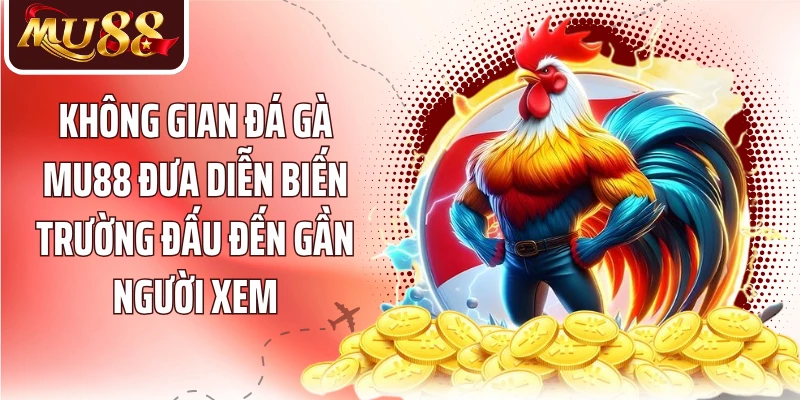 Đá Gà MU88: Theo Dõi Trận Đấu Và Hiểu Kèo Kê Chiến - betzora99