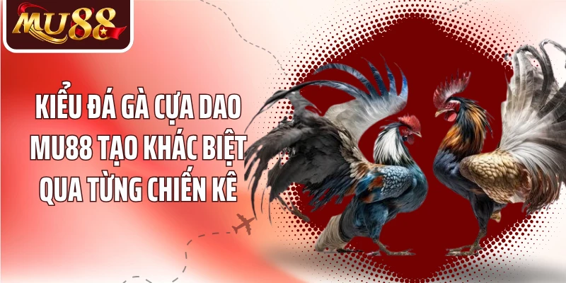 Đá Gà Cựa Dao MU88 - Hiểu Luật Trận Và Nhịp Đấu Nhanh - betzora99