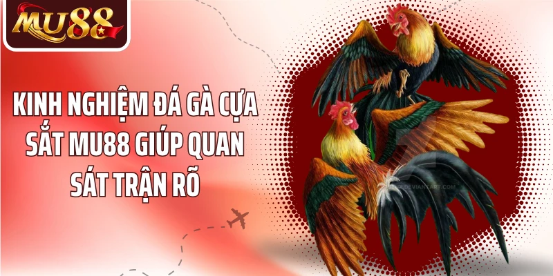 Đá Gà Cựa Sắt MU88 - Khám Phá Nhịp Chiến Đấu Kê Kịch Tính - betzora99