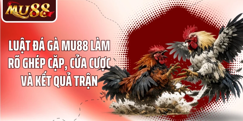 Đá Gà MU88: Theo Dõi Trận Đấu Và Hiểu Kèo Kê Chiến - betzora99