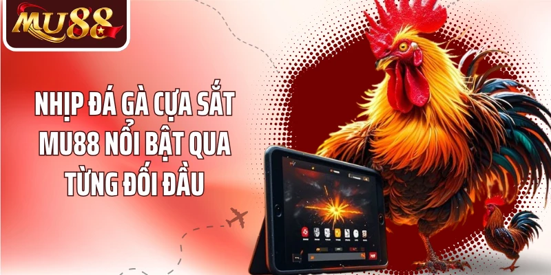 Đá Gà Cựa Sắt MU88 - Khám Phá Nhịp Chiến Đấu Kê Kịch Tính - betzora99