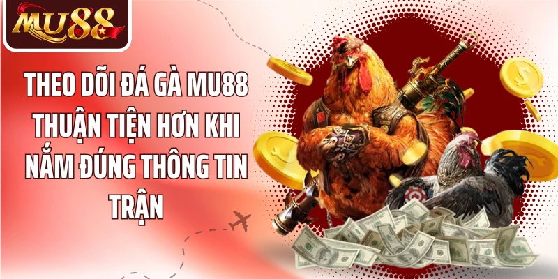 Đá Gà MU88: Theo Dõi Trận Đấu Và Hiểu Kèo Kê Chiến - betzora99